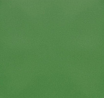 Линолеум Forbo Eternal Colour 40642 apple фото 1 | FLOORDEALER